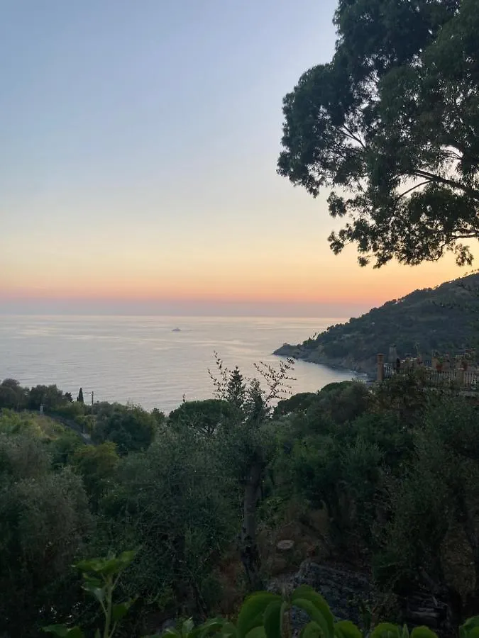 Nel Blu Dipinto Di Blu Apartment Levanto 0*,